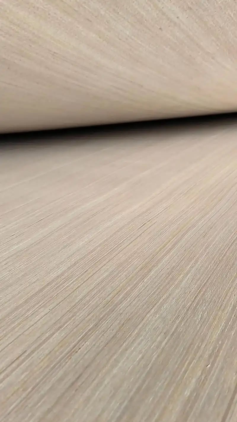 Poplar EV Plywood
