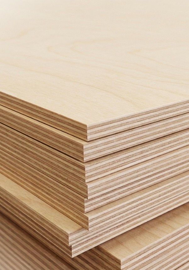 Asian Birch Plywood (White Meranti Plywood)